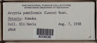 Image Associated With the Occurence
